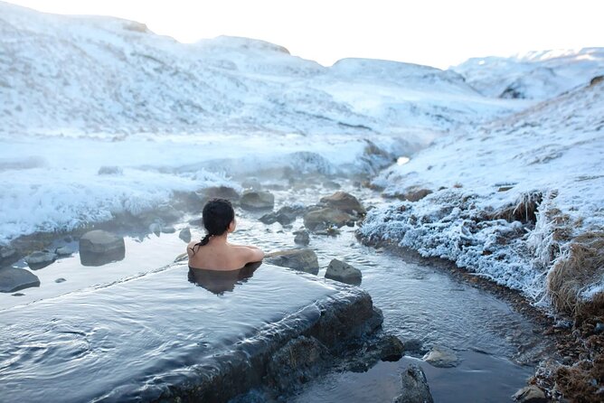Golden Circle Experience - Private Eco Tour - Accessibility and Participation