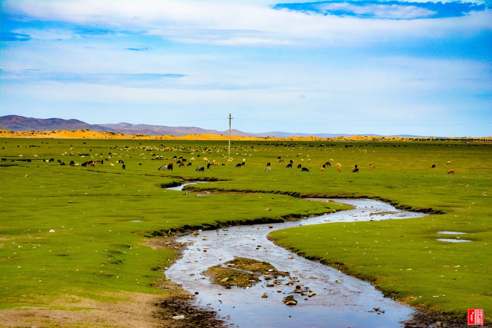 Golden Eagle Festival and Greate Gobi Desert Tour - Nomadic Lifestyle Immersion