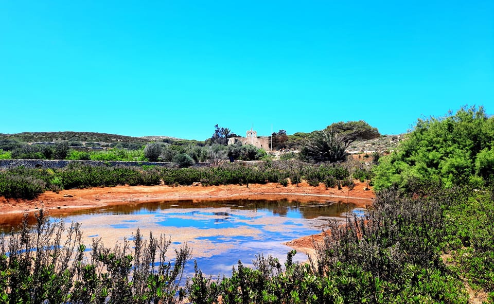 Gozo Unveiled: Guided Hiking in Comino Island - Important Information