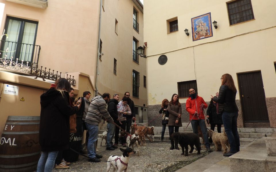 Granada: Guided Realejo Tour With Pets - Sephardic and Christian History