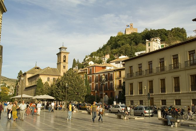 Granada Private Walking Tour With Cathedral & Royal Chapel - Inclusions and Accessibility