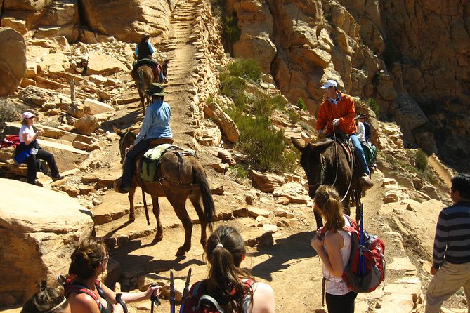 Grand Canyon Hike From Sedona or Flagstaff With 7 Guest Limit - Transportation and Pickup Details