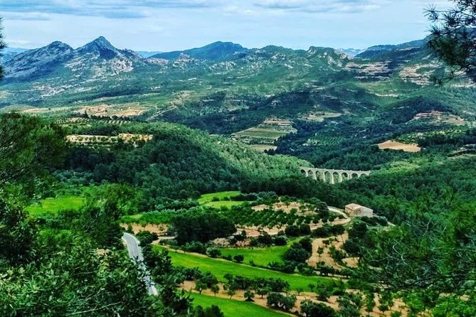 Greenway Section Cretas - Horta De Sant Joan 11KM (90% Descending 10% Flat) - Accessibility and Participation Restrictions