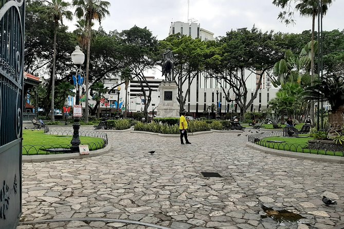 Guayaquil City Tour Including the Light House of Cerro Santa Ana - Exploring Seminario Plaza (Iguana Park)