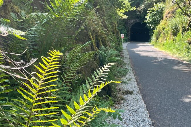 Guided Bike Ride: Exploring the Limerick Greenway - Accessibility Information