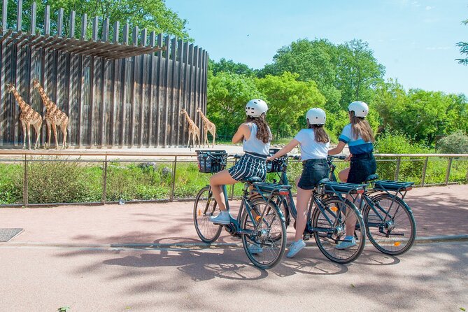 Guided Bike Tour - 2h Heading to Tête Dor Park - Tour Recommendations and Restrictions
