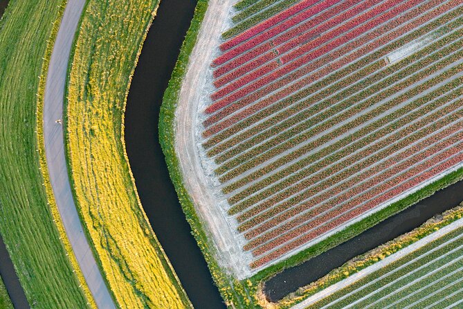 Guided Bike Tour Along the Dutch Tulip Fields in Noord Holland - Highlights of the Tour
