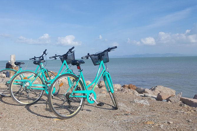 Guided Bike Tour of Carthage Archeological Site in Tunisia - Fitness Requirements