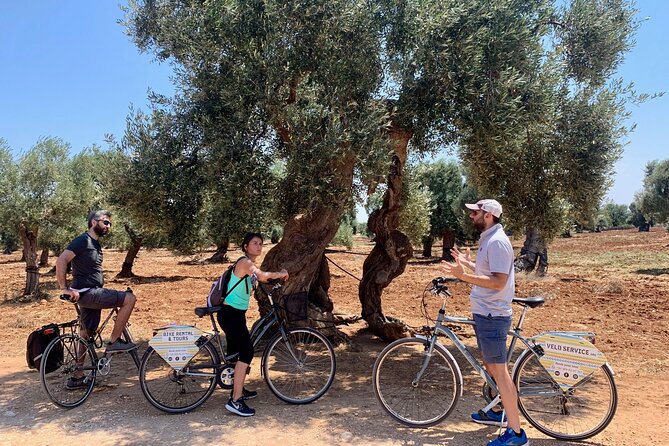 Guided Bike Tour of Monopoli Countryside  - Alberobello & Locorotondo - Concluding With Artisanal Ice Cream