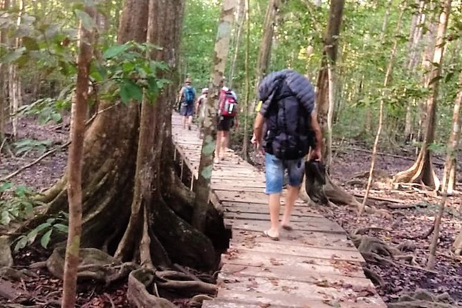 Guided Darien Jungle Experience - 5 Days / 4 Nights - Taking in Embera Culture