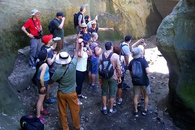 Guided Day Tour Safari of Parks Lake Naivasha and Hells Gate - Traveler Experiences