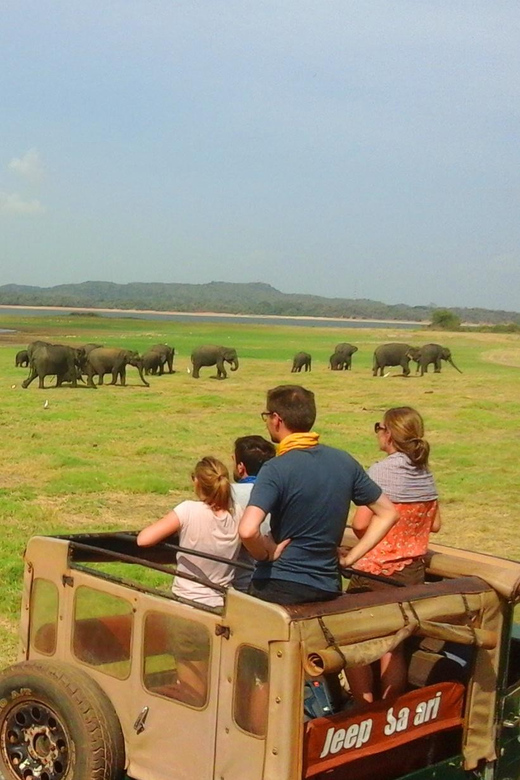 Guided Elephant Safari: Minneriya - Important Safety Considerations