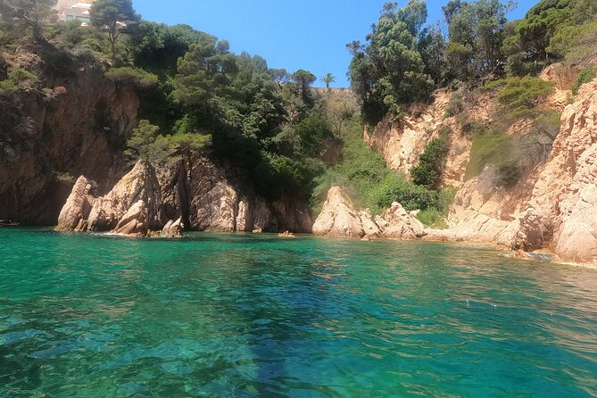 Guided Kayak & Snorkel Tour to Costa Brava: Small Group and Lunch - Kayaking and Snorkeling Experience