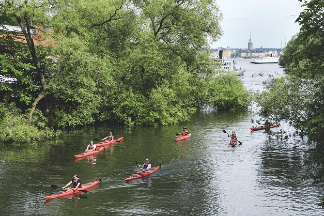 Guided Kayak Tour in Central Stockholm - Health and Safety Considerations