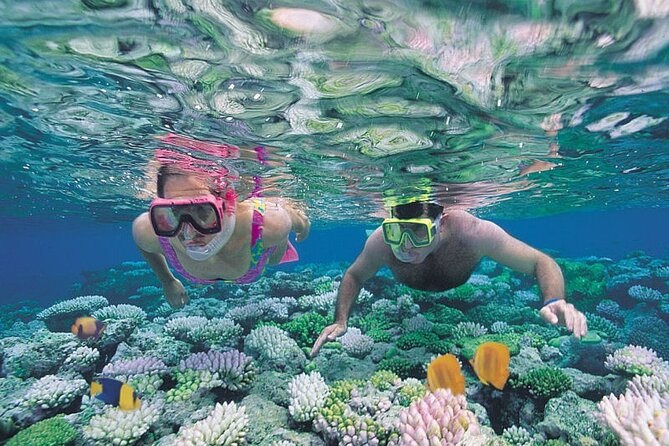 Guided Snorkeling Experience in Caleta De Fuste Review - Customer Feedback: Negative