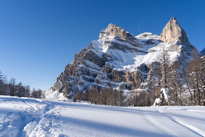 Guided Snowshoeing Day to Discover the Dolomites - Booking Information
