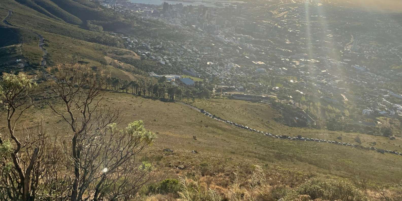 Guided Sunset-Sunrise Hike on Lions Head, Cape Town (Pickup) - What to Expect on the Trail