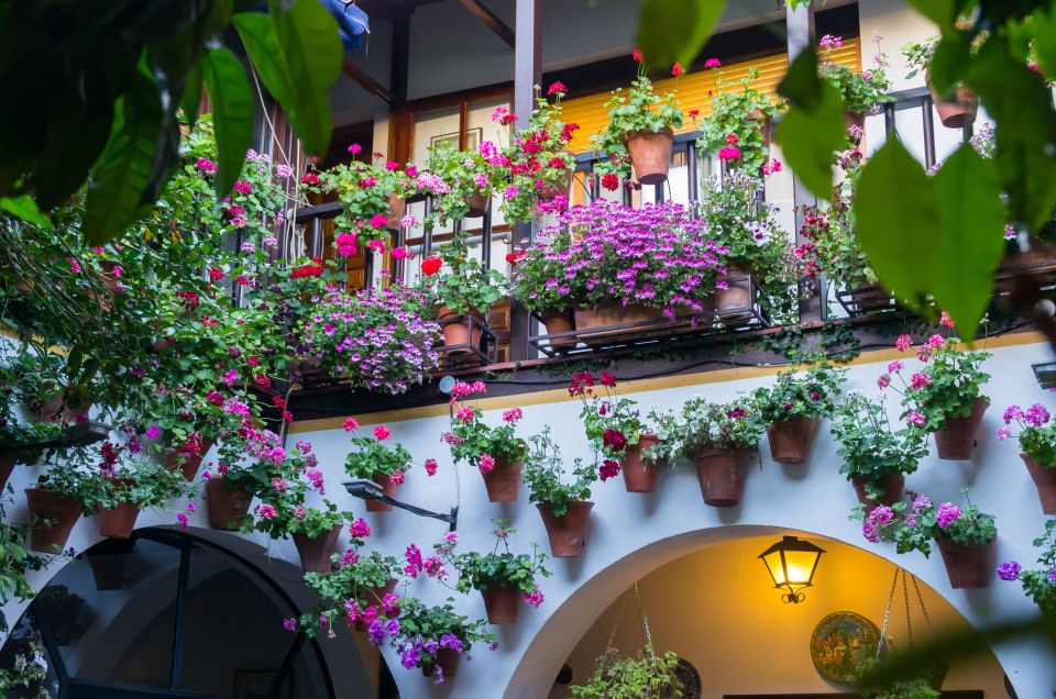 Guided Tour in Spanish to the Courtyards of Córdoba - Meeting Point