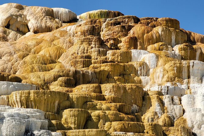 Guided Upper Loop of Yellowstone Tour From Cody, WY - Accessibility Options