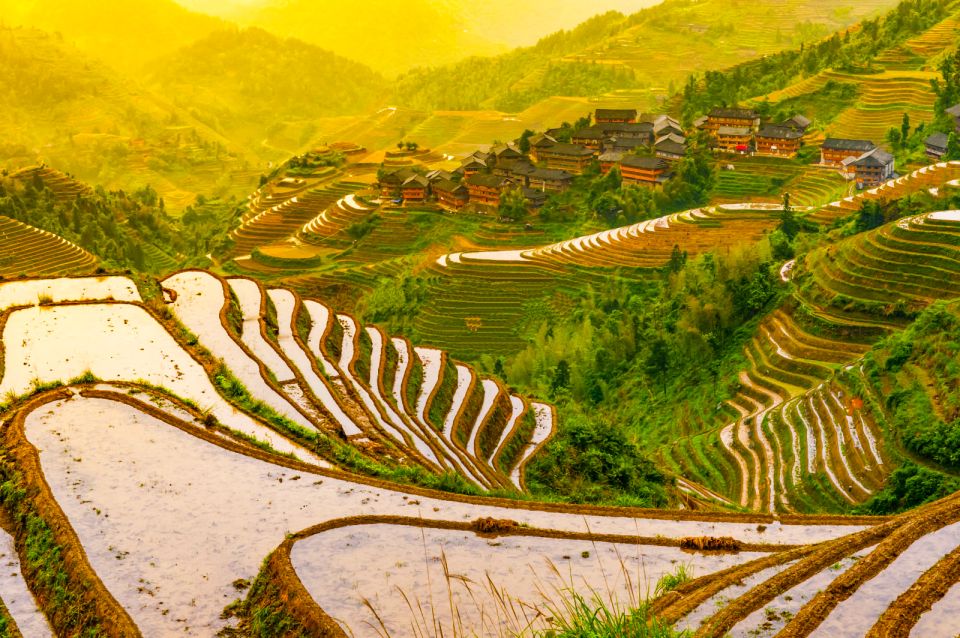 Guilin Longji Terraces Private Day Tour - Customer Reviews Summary