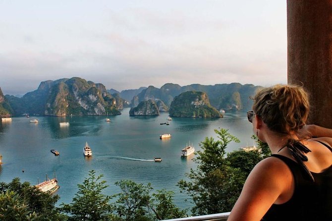 Ha Long Bay Luxury Cruise 1 Day - Inclusions and Amenities