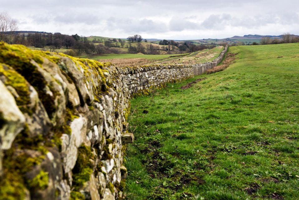 Hadrians Wall: Birdoswald Roman Fort Entry Ticket - Hadrians Wall History and Exhibits