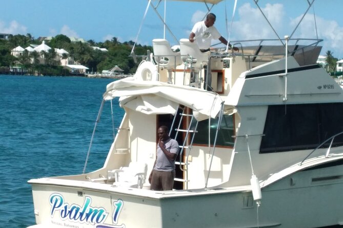Half-Day at Green Cay Bahamas Snorkeling With Turtles - Family-Friendly Environment