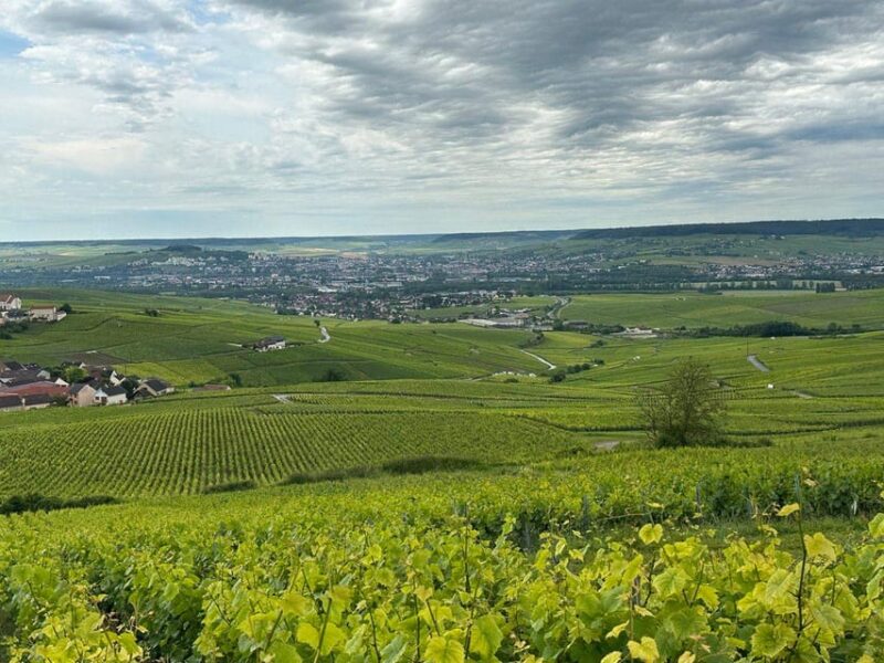 Half-Day Champagne : Convertible Sport Car Tour From Paris - Champagne House Tour and Tasting