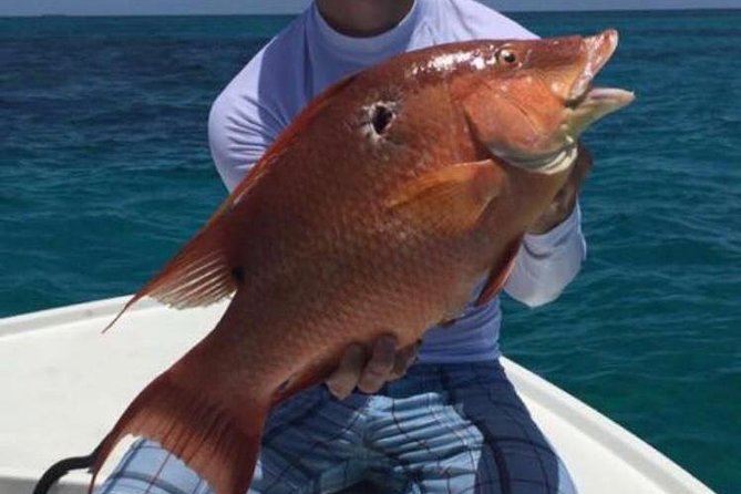 Half Day Deep Sea/Light Tackle Fishing Charters - Customer Ratings and Reviews