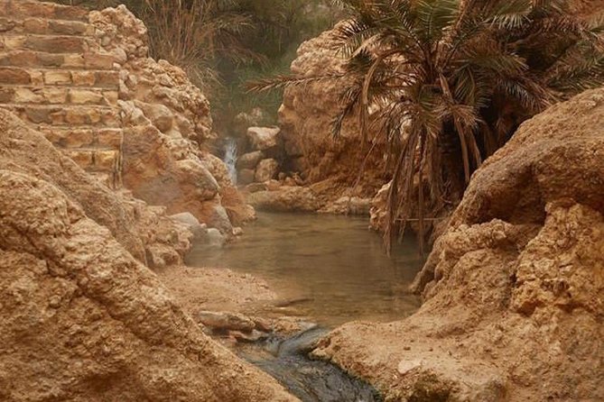 Half-Day Excursion the Mountain Oases From Tozeur - Weather and Temperature Considerations