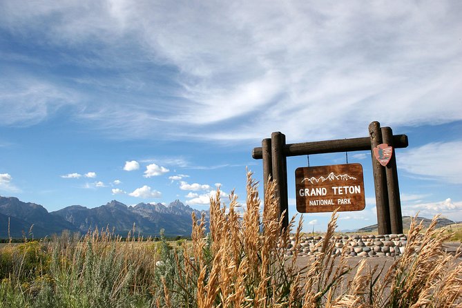 Half-Day Grand Teton Wildlife Safari Private Tour - Wildlife and Scenery Highlights