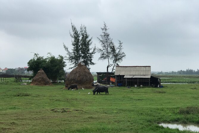 Half-Day Hoi An Countryside and Villages Tour by Bike - Pickup Information
