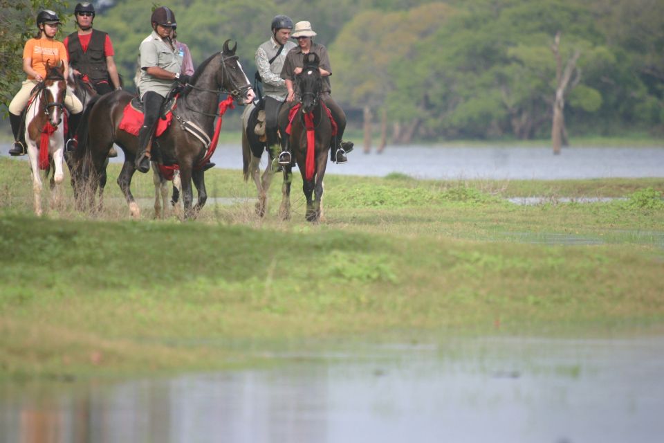 Half Day Horse Riding in Dambulla - Cancellation Policy