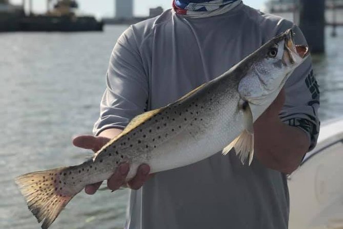 Half-Day Jetty Fishing Trip From Galveston - Pricing and Group Size