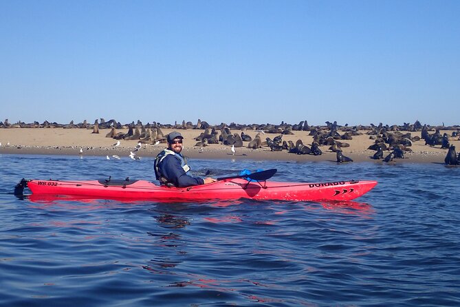 Half Day Original Seal Kayak Adventure, Pelican Point, Walvis Bay - Safety and Accessibility