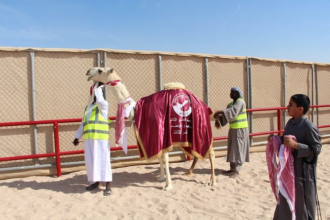Half-Day Private Guided Camel Race Tour in Qatar - Accessibility and Transportation