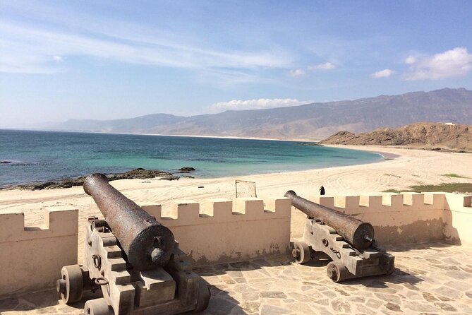 Half Day Private Muscat City Afternoon Tour - Cultural Immersion