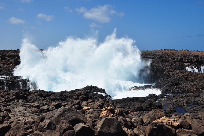 Half-Day Sal Island Tour With Shark Experience From Santa Maria - Inclusions and What to Expect