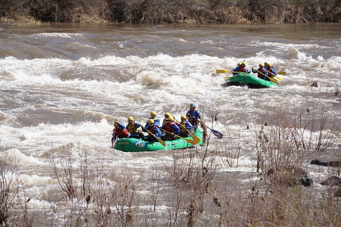 Half-Day Salt River Whitewater Rafting - Booking Information