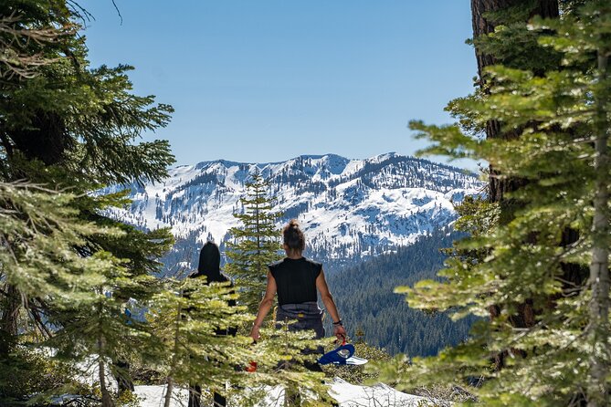 Half Day Snowshoe Hike in Tahoe National Forest - Traveler Reviews and Ratings