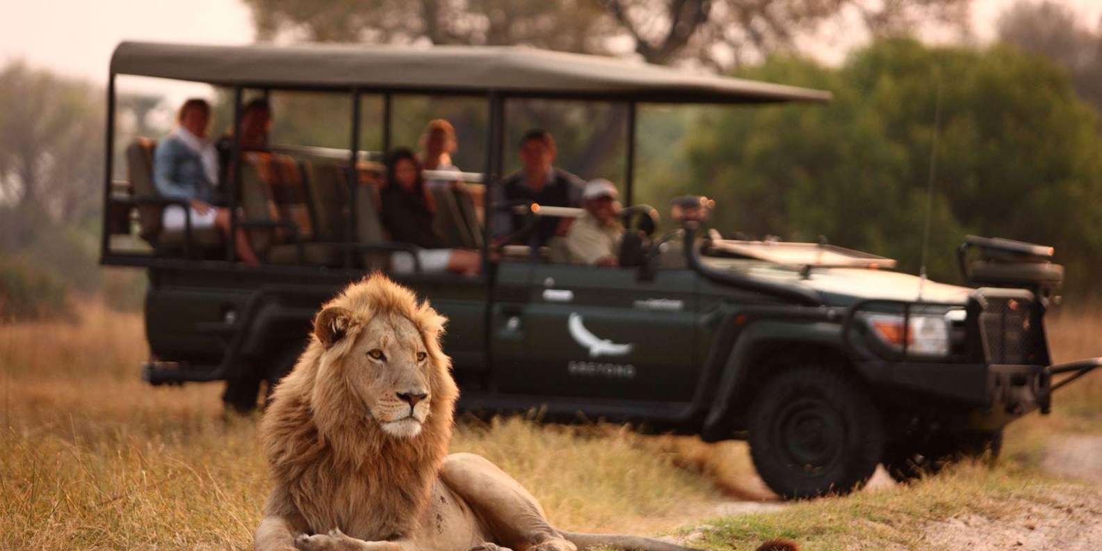 Half Day Tala Game Reserve & Natal Lion Park From Durban - Get Close to Lions