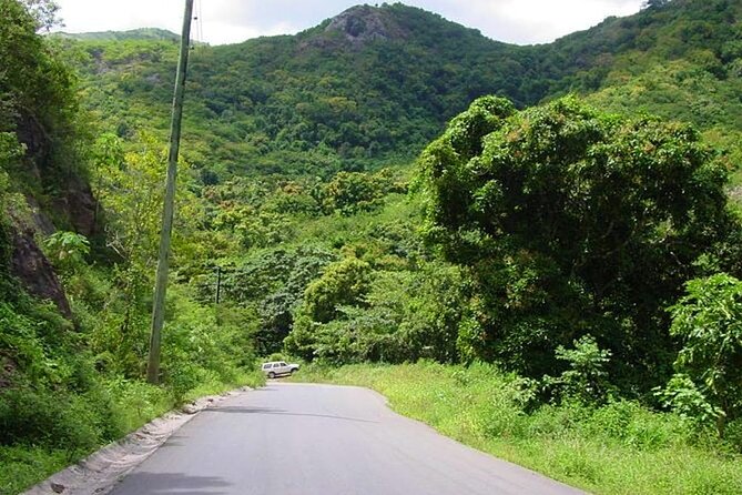 Half-Day Tour: A Taste of Paradise and History of Antigua - Culinary and Beverage Offerings