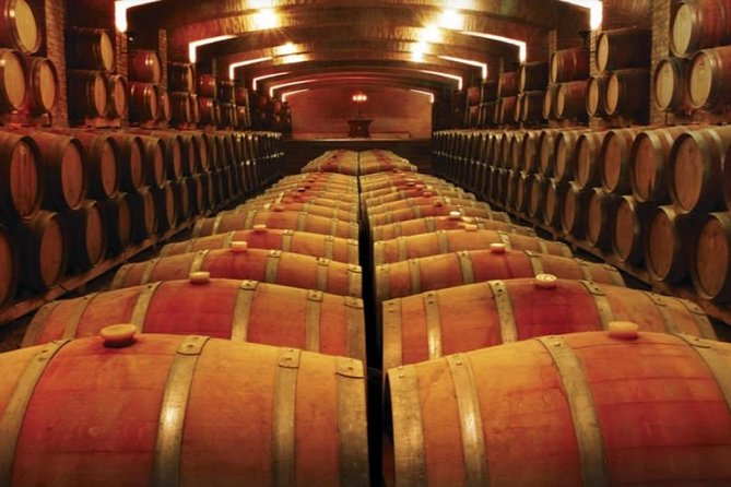 Half Day Trip to Undurraga Vineyard From Santiago - Wine Tasting Included - Customer Feedback and Experiences