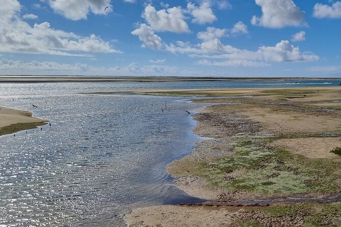 Half Day Walking Tour in Ria Formosa Nature Park - Participant Requirements