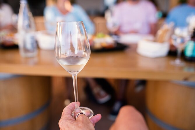 Half Day Wine Tasting With Dinner in Kos - Praise for the Tour Guide
