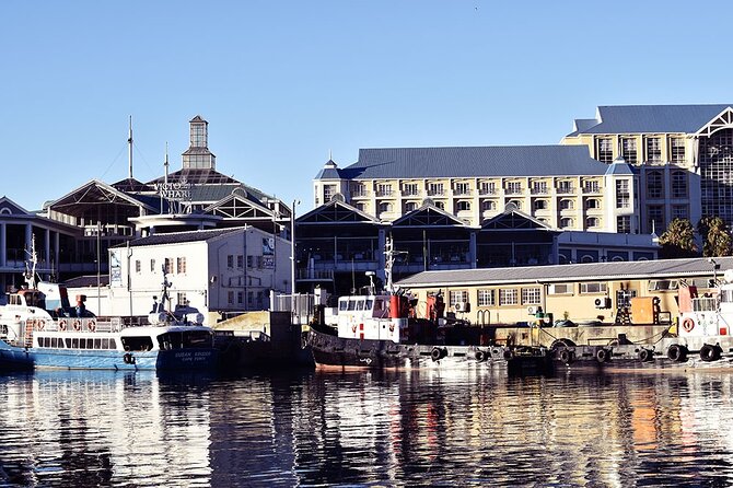 Half Hour Seal and Harbour Cruise From Cape Town - Health and Safety Guidelines