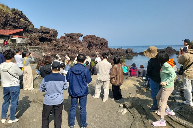 Half or Day Tour for Cruise Customers Arriving at Gangjeong Port - Customer Feedback