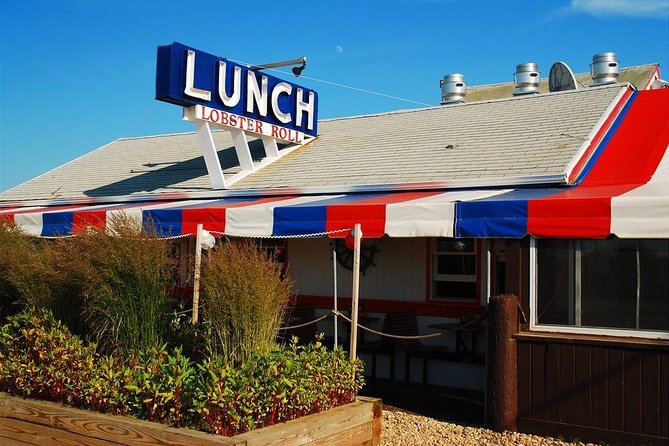 Hamptons Private Day Trip From New York City - Accessibility Features
