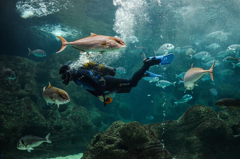 Heraklion: Heraklion Market & CretAquarium *SKIP The Line - Inclusions and Exclusions