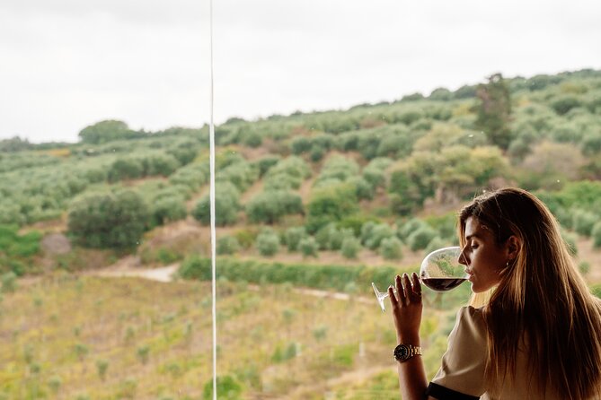 Heraklion Private Half-Day Gastronomy Diaries Experience in Lyrarakis Winery - Personalized Sommelier Interaction
